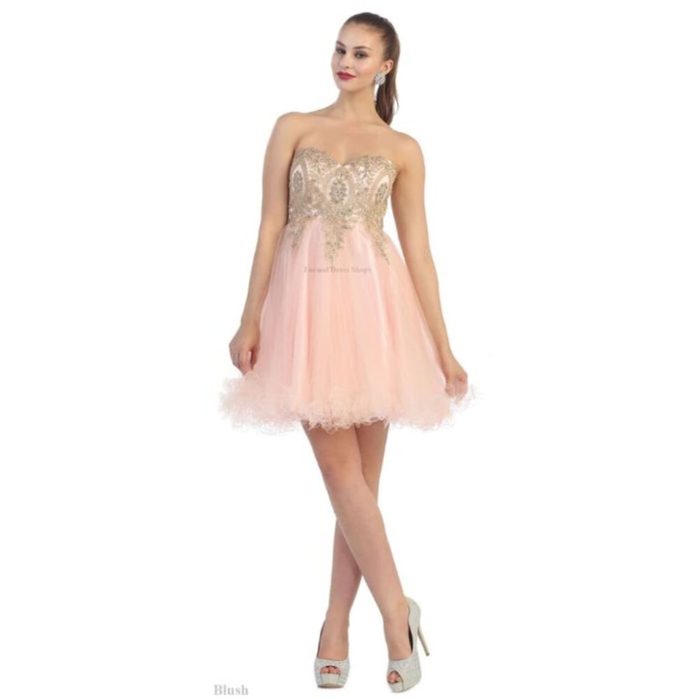 Blush Quinceañera Dama Dresses Style Outfit By May Queen MQ1414